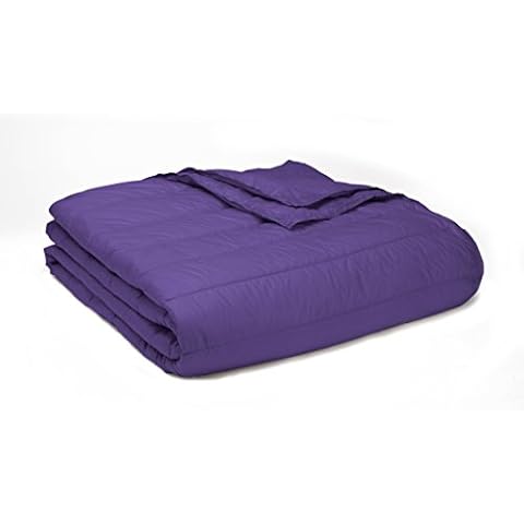 PUFF Down Alternative Indoor/Outdoor Water Resistant Blanket with Extra Strong Nylon Cover, Full/Queen, Purple Cover