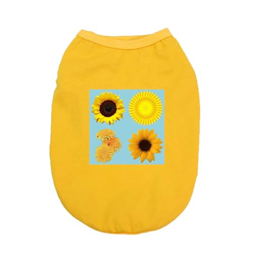 [XANPYO] ybg  tďH tVc CG[ ^ lGʗp ybg  hbOEFA xXg t@bV lC Ȃ Ȑ Lm ʋC 5XL ₩ Ăh Eѕی U o ƒ