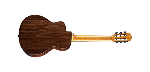 Amazon | aNueNue （ アヌエヌエ ） aNN-MN214 Bird Guitar Series