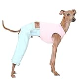 vaqueros g star mujer baratos Basándonos en el pecho pronunciado típico del galgo y el cuerpo delgado, diseñamos ropa que es fácil de poner, fácil de quitar y no tensa las articulaciones de tu perro incluso si el perro hace ejercicio intenso.