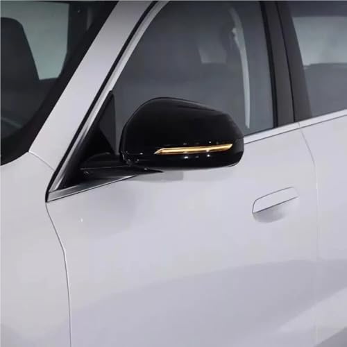 Coque miroir latéral protection carbone antichoc pour IX1 IX2 - 3
