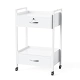OmySalon Salon Trolley Cart with Wheels, Esthetician Cart with 2 Drawers & 2 Trays, Mobile Storage Organizer for Beauty Spa Massage Tattoo Esthetic Facial Tool Holder Station, White