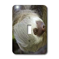 Interrupteur à bascule simple Costa Rica Hoffmans Sloth 3dRose lsp_87241_1