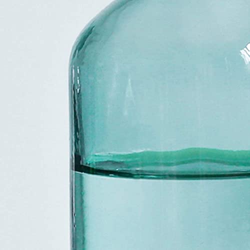 Vase transparent en verre pour arrangement de fleurs séchées