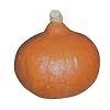 Hokkaido Pumpkin Uchiki Kuri   10 Seeds