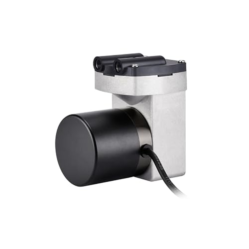 Pompe à membrane électrique 22LPM pompe à vide mélange gaz-liquide grand débit