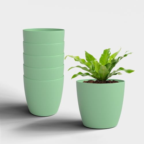 Image of YUCCABE ITALIA SHERA Stella 8 Inch Plastic Plant Pot for Home Decor Indoor Plant Pots for Living Room Plastic Flower Pot for Garden (Aqua, 8 INCH - 6 Pcs)