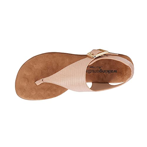 Walking Cradles Noelle2