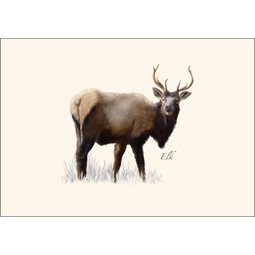 Image of Earth Sky + Water - Western Mammal II Assortment Notecard Set - 8 Blank Cards with Envelopes (2 each of 4 styles)