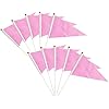 Amazon.com : 25 Pack Pink Pennant Flags Small Mini Hand Held Solid ...