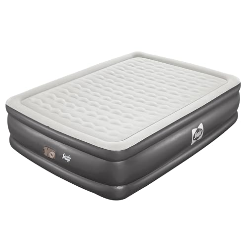 Sealy Tritech Queen Sized 20 Air Mattress Bed 2 Person w/Built-in AC Pump & Bag