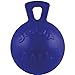 Jolly Pets Tug-n-Toss Dog Toy Ball with Handle, 10