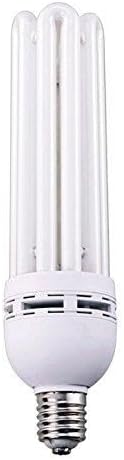 Casafoyer Interlux 125W CFL Lamp 6400K | (2 Units)