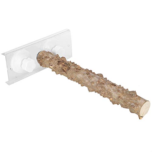 Jarchii Asta per Animali Domestici, trespolo per