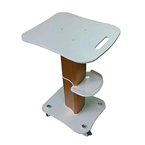 YASEking Trolley op wielen ABS Golden Beauty Salon Rolling Handle Carts, Aluminium op wielen SPA Beauty Storage Tray…