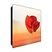 DekoGlas Armadietto Portachiavi in Vetro Decorativo, Motivo: Papaveri, 30 x 30 cm, in Vetro, con Ganci