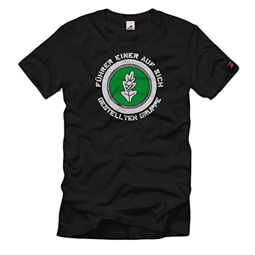 Insigne Parachute Chasseur Commando Intervention Spéciale - Ordre Militaire de Collection Noir