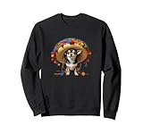 Photo Gallery chihuahua sombrero happy cinco de mayo cucciolo di animale domestico festa amor felpa Photo Gallery chihuahua sombrero happy cinco de mayo cucciolo di animale domestico festa amor felpa