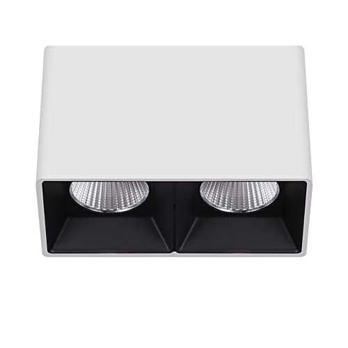 Foco de Techo para Interiores de 20 W y 2 Luces, Foco Rectangular para Cocina, Sala de Estar y Dormitorio, Foco de riel Fijo, lámpara de Acento y Aplique de Pared.