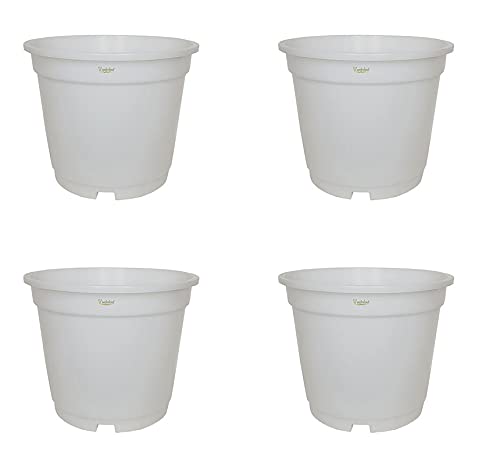 Image of Wonderland 8 inch Set of 3 Big Planter (Plastic Pots for Home Plants) (White)