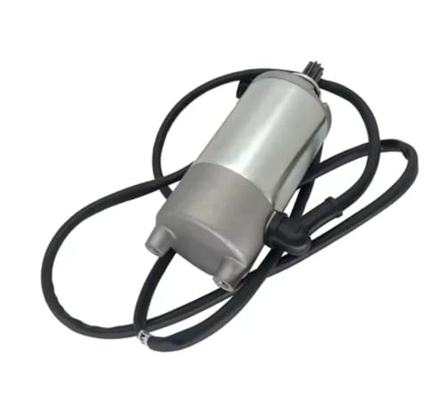 Démarreur LJ ATV250 Quad Motor ATV 250 PWCM pour rénovation moteur