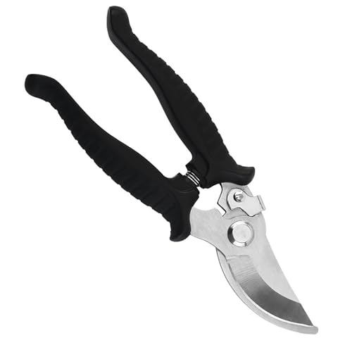 LUYING oT~ s؂ꖡ  |nT~ }؂ XeX  Ԑ؂ nT~@\nT~}؂ oCpX XeX|ގAlԍHwfUCAsȐnA~߃nhAԁEɍœK ΂ ΂ t ͂