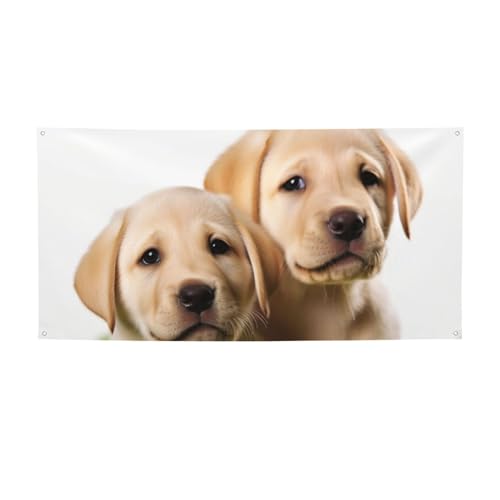 NGCeBuoi[Ǌ|wioi[ ʔuh[q^p[eB[oi[TC|X^[p[eB[wi VN  ap[eB[ ʐ^Be STCY