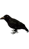 Halloween Horror de suspense Guirca Rudy Corvo Negro Halloween, 25 cm, Color, 1 