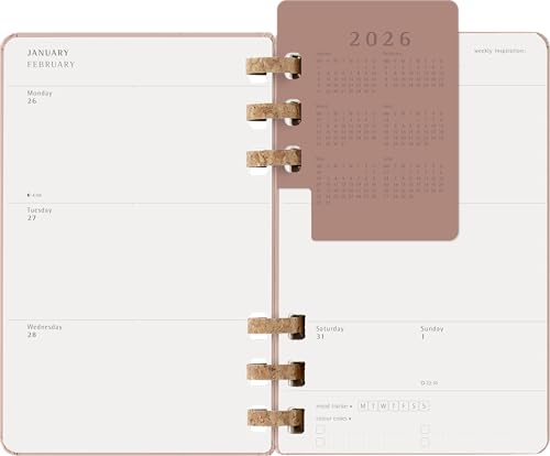 Moleskine Life Planner 2026, Agenda Settimanale e Mensile Spiral 12 Mesi, Copertina Rigida e Chiusura Elastica, Colore Almond, Formato Large 13x21 cm - immagine 13