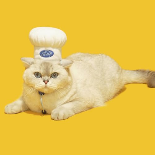 Sombrero de chef para mascotas disfraz Halloween miniatura 7