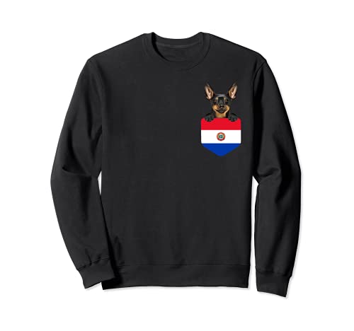 Paraguay Flag Miniature Pinscher Dog In Pocket Sweatshirt, Black