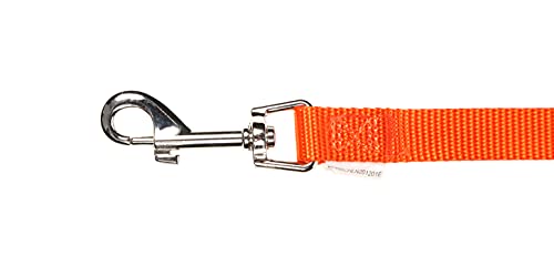 Doodlebone, Padded Dog Lead, Comfortable Dog Leash with Soft Neoprene Padded Handle, Strong Clip, 120cm Length - Image 2
