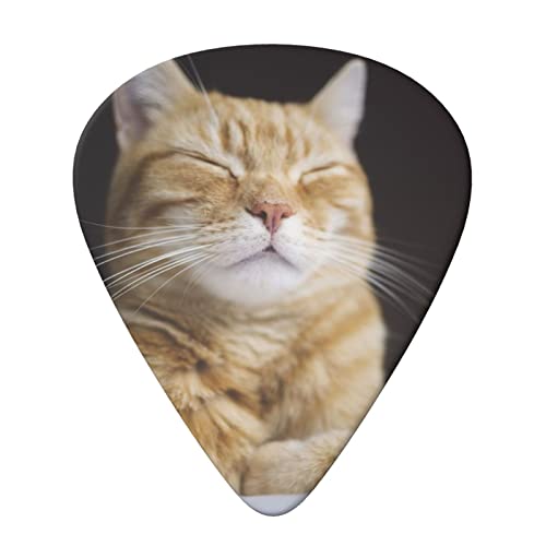 ASDTEHCY Lot de 6 médiators en celluloïd, couleur orange, pour guitares acoustiques, électriques, basses ou ukulélé - Les Beatles, Paul McCartney, John Lennon, RIngo Starr, George Harrison ASDTEHCY Lot de 6 médiators en celluloïd, couleur orange, pour guitares acoustiques, électriques, basses ou ukulélé – Image 4