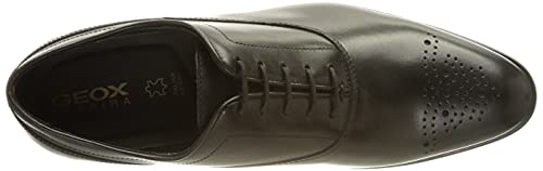 Image of Geox Men's U Adacter F Oxford