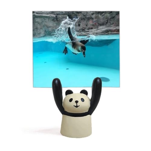 Porte-photo pingouin de l'océan et panda en résine pour bureau