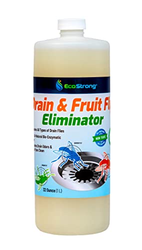 Top 10 Fruit Fly Drain Foam of 2022 - Katynel