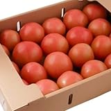 【熊本県他西日本産】 とってもあま~い トマト 約4kg 1箱