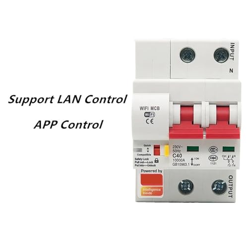 Disjoncteur WiFi Smart Life 2P 25A pour tableau électrique