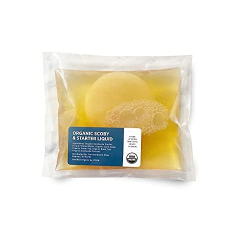 Organic SCOBY Kombucha Starter Kit with Live Culture for Brewing Kombucha Tea - Urban Kitchen Cover