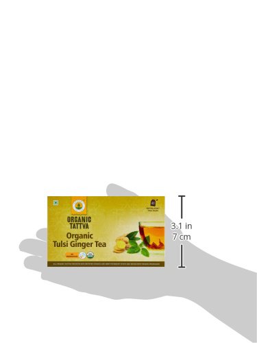 Image of Organic Tattva Green Tea Tulsi Ginger, 20 Tea Bags | Herbal Infusion for Daily Refreshment, Immunity Support, and Soothing Warm Beverage (Pack of 3)