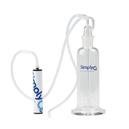 Simply O3 Ozone Bubbler System for Ozone Water and Humidifying Ozone with Kynar