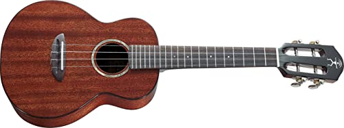 aNueNue AMM2 – Africa Mahogany II Ukulele Concert - Les Beatles, Paul McCartney, John Lennon, RIngo Starr, George Harrison aNueNue AMM2 - Africa Mahogany II Ukulele Concert