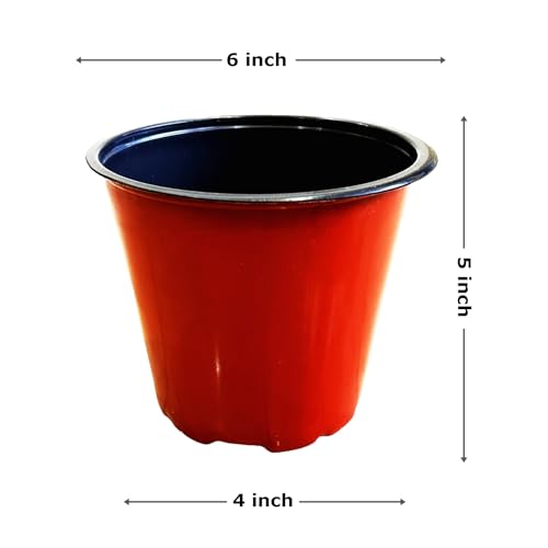 Image of Thermoformed Plastic Flower Pots, Durable, Flexible, Unbreakable, Multiple Drainage Holes, Best for Indoor Plants, Terrace Garden, Nursery (Pack of 30, 6 Inch)