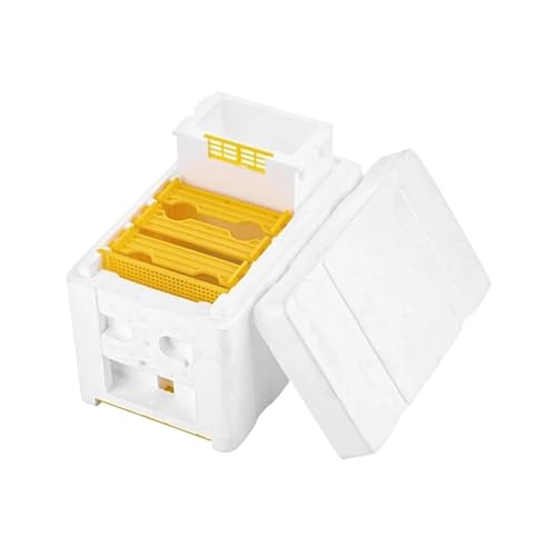 Ruche en mousse de fécondation pour protéger les abeilles du froid