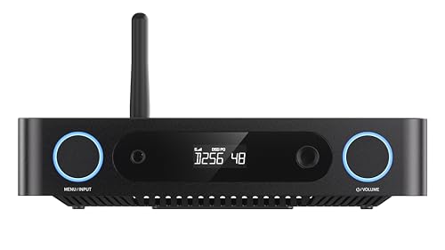 Image of FiiO K13 R2R Desktop DAC & Headphone Amp, High-Fidelity 24Bit R2R DAC, Powerful 2400mW Output, LDAC Bluetooth Streaming, Dual Power Supply, 10-Band PEQ, Balanced XLR & RCA Audio Output (Black)