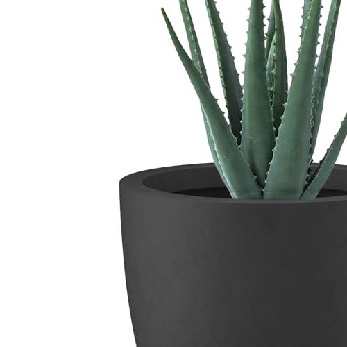 Image of Kante Small Round Bowl Black Concrete Planter 10 inch Dia, Outdoor