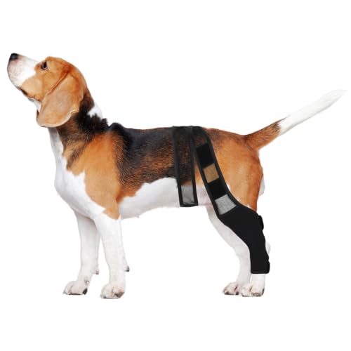 HYTROVE Hundebeinstütze Aus Neopren Elastischer Beinschutz Für Vorder- Und Hinterbeine Atmungsaktiv Gelenkschutz Und Knochenschutz Für Hunde Nach Operation 13.39X11.42X0.79In Schwarz XL