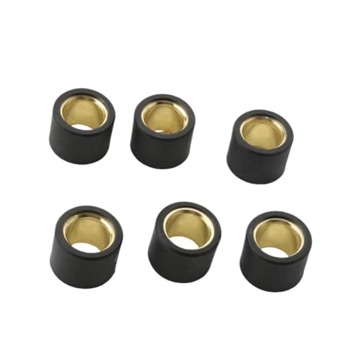 6PC Variator Roller 13g Weights 21x17mm Compatible With Automotive Motorcycle Parts Granturismo 125 200 Gts Gtv 250cc 300cc 849480