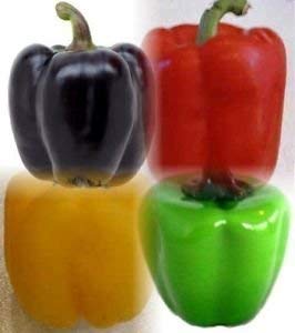 OhhSome Bell Color Mix Pepper - 20 Seeds - Garden Fresh Pack! Most Colourful! - Eco (B07Y88M4NP) Amazon Price History, Amazon Price Tracker