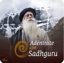 Tu Cerebro Produce lo Mismo que los Psicod&eacute;licos Prometen